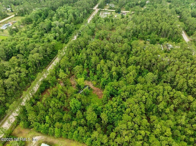 1756 Hazelnut St, Bunnell, FL 32110