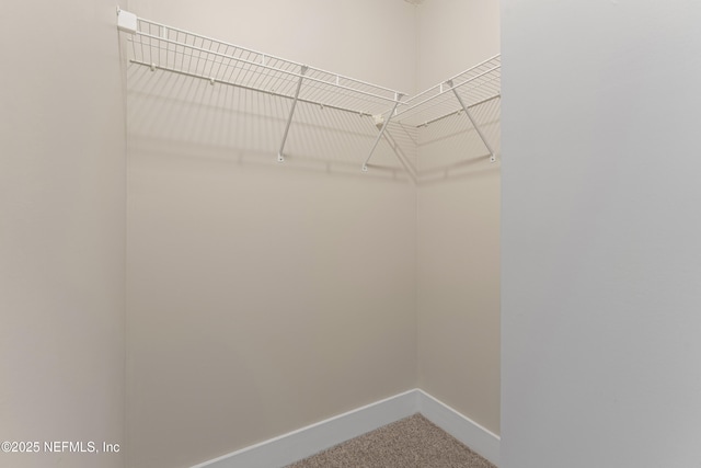 1339 Date St, Fernandina Beach, FL 32034 - spacious closet featuring carpet