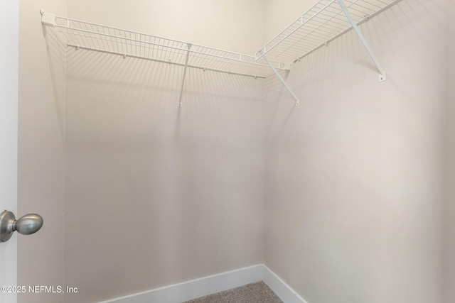 1339 Date St, Fernandina Beach, FL 32034 - walk in closet with carpet flooring