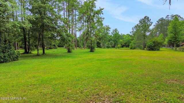 11340 V C Johnson Rd, Jacksonville, FL 32218 - photo 6