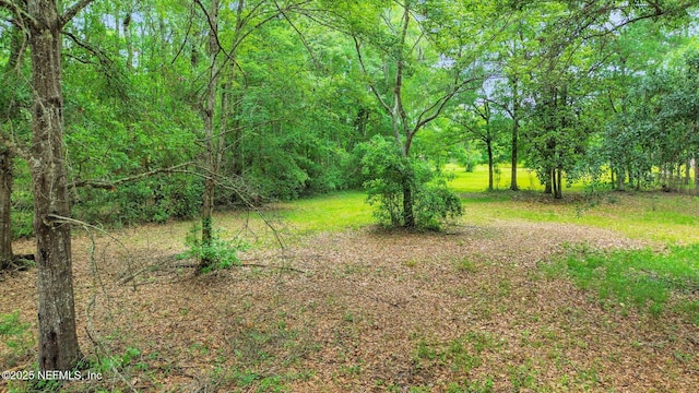 11340 V C Johnson Rd, Jacksonville, FL 32218 - photo 11