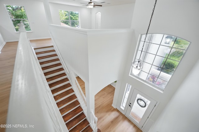 2012 Belle Grove Ter, Fleming Island, FL 32003 - stairs with a towering ceiling, wood finished floors, and ceiling fan
