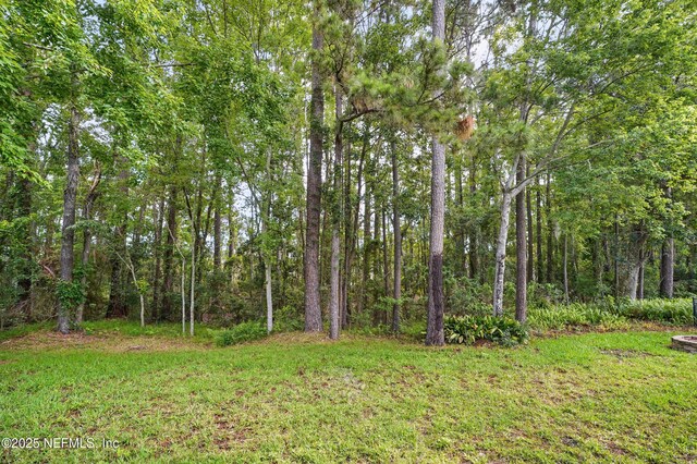 2012 Belle Grove Ter, Fleming Island, FL 32003 - view of woods