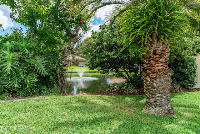 1835 Powder Springs Dr, Jacksonville, FL 32225 - view of grassy yard featuring a water view