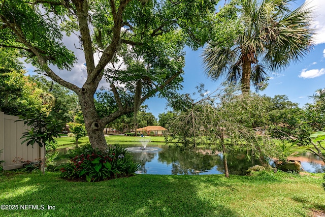 1835 Powder Springs Dr, Jacksonville, FL 32225 - water view