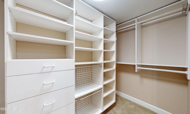 2100 Ocean Dr Unit Ph-2, Jacksonville Beach, FL 32250 - walk in closet featuring carpet flooring