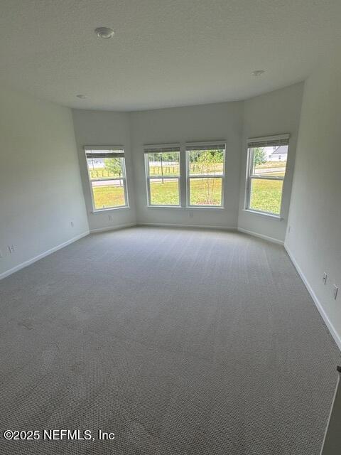carpeted spare room featuring plenty of natural light and baseboards