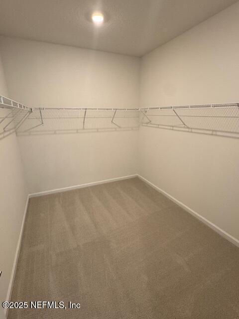 spacious closet featuring carpet