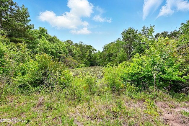 4661 Raggedy Point Rd, Fleming Island, FL 32003 - photo 13