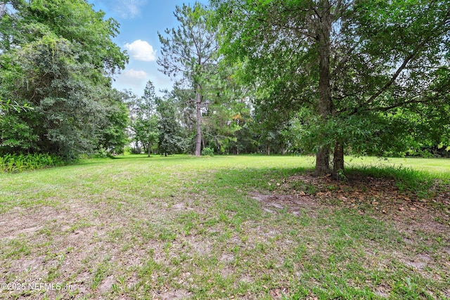 4661 Raggedy Point Rd, Fleming Island, FL 32003 - photo 9