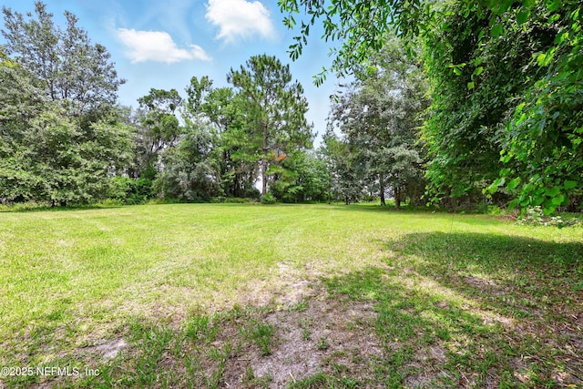 4661 Raggedy Point Rd, Fleming Island, FL 32003 - photo 10