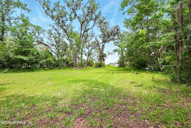 4661 Raggedy Point Rd, Fleming Island, FL 32003 - photo 18