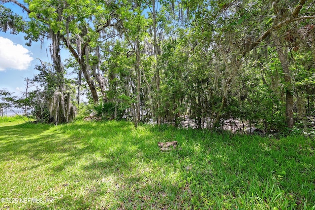4661 Raggedy Point Rd, Fleming Island, FL 32003 - photo 19