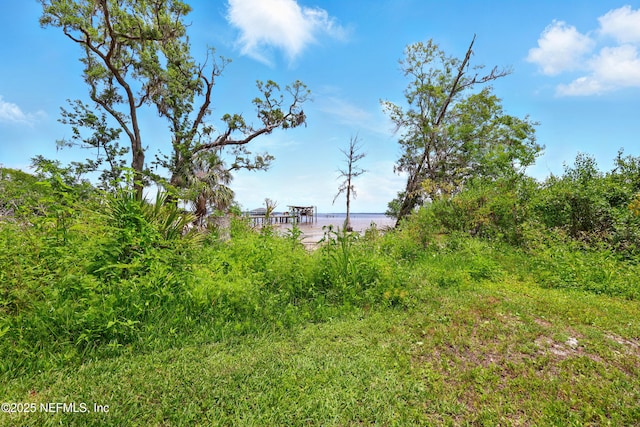 4661 Raggedy Point Rd, Fleming Island, FL 32003 - photo 20