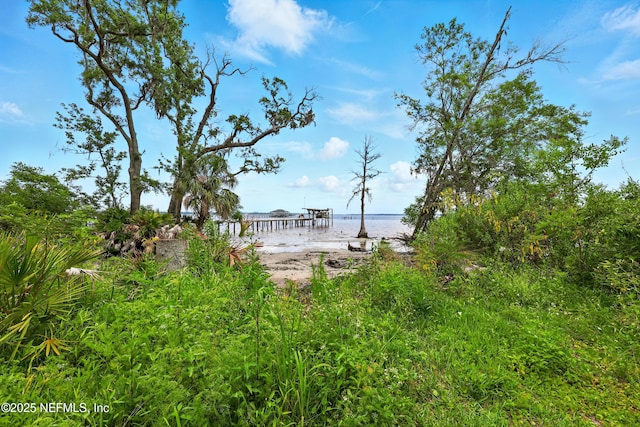 4661 Raggedy Point Rd, Fleming Island, FL 32003 - photo 21