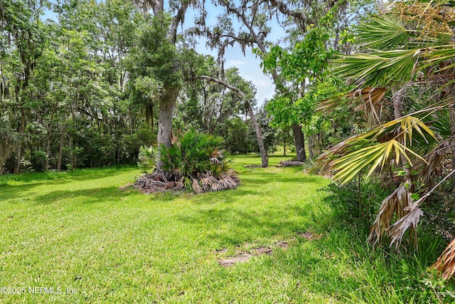 4661 Raggedy Point Rd, Fleming Island, FL 32003 - photo 17