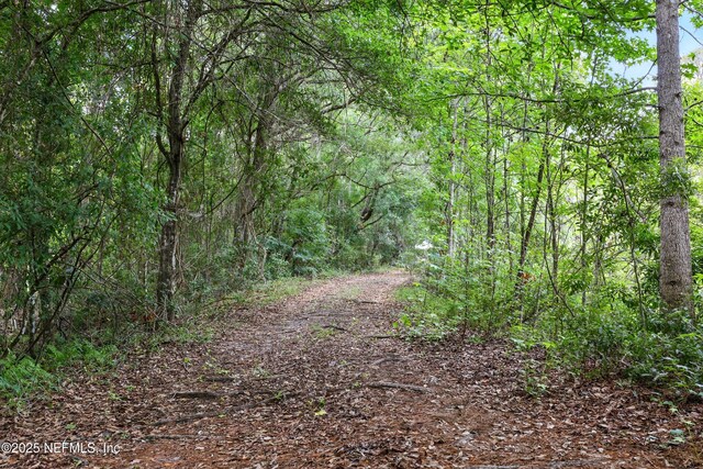 4661 Raggedy Point Rd, Fleming Island, FL 32003 - photo 8