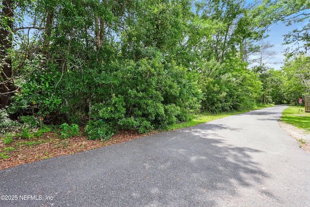 4661 Raggedy Point Rd, Fleming Island, FL 32003 - photo 6
