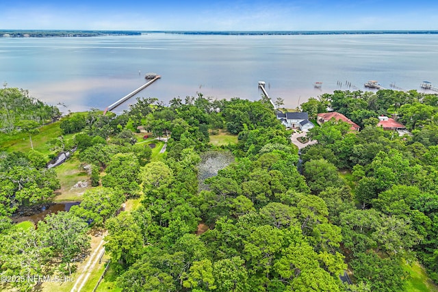 4661 Raggedy Point Rd, Fleming Island, FL 32003 - photo 26