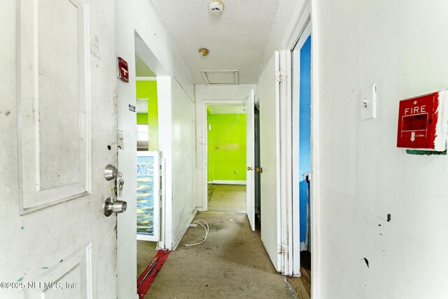 1403 Myrtle Ave N, Jacksonville, FL 32209 - hallway with a textured ceiling