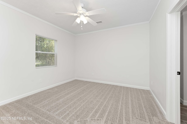 3531 Owen Ave, Jacksonville, FL 32208 - photo 9