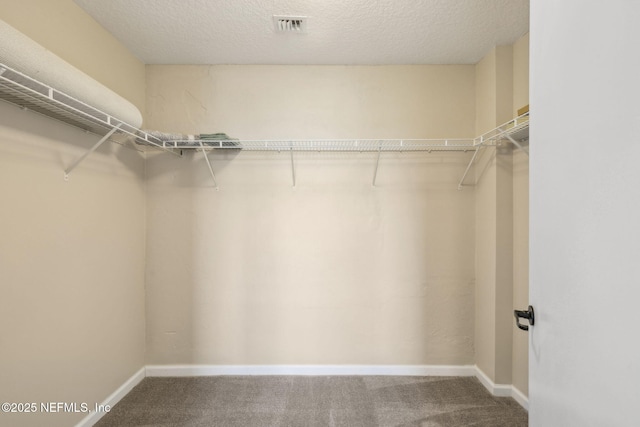 2525 College St Unit 1308, Jacksonville, FL 32204 - photo 14
