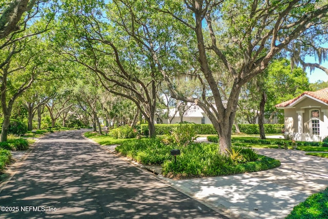 15 Via Roma, Palm Coast, FL 32137 - photo 50