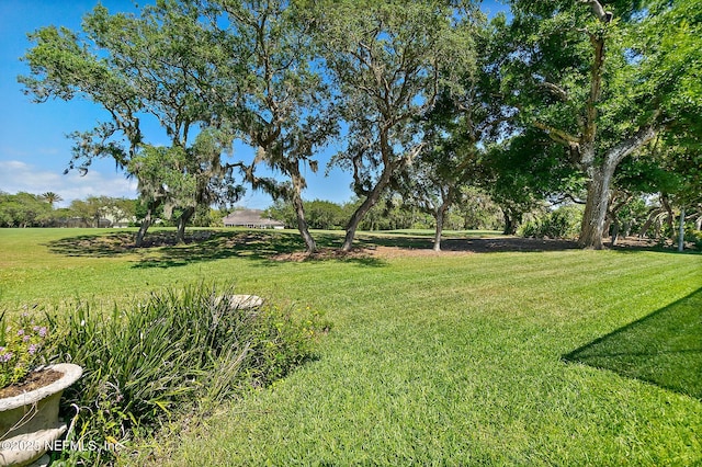 15 Via Roma, Palm Coast, FL 32137 - photo 47