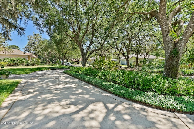 15 Via Roma, Palm Coast, FL 32137 - photo 41