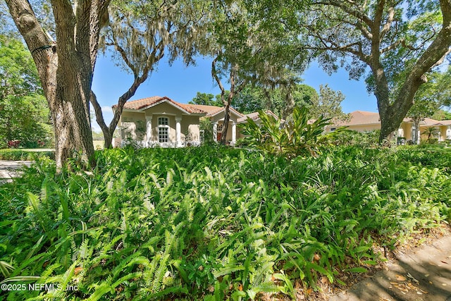 15 Via Roma, Palm Coast, FL 32137 - photo 43
