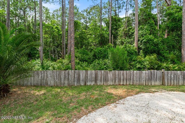 880 W American Eagle Dr, Saint Augustine, FL 32092 - view of yard