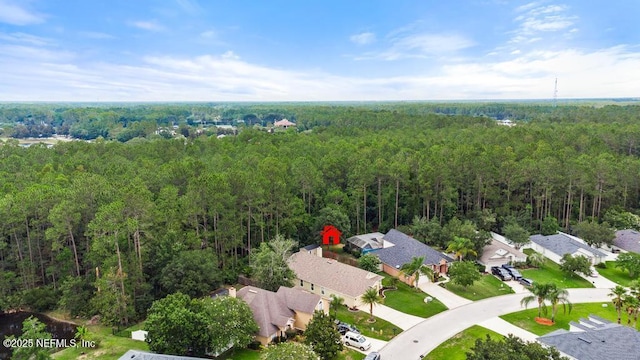 880 W American Eagle Dr, Saint Augustine, FL 32092 - aerial view of residential area with a forest