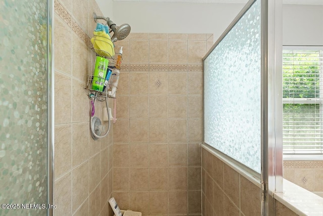 880 W American Eagle Dr, Saint Augustine, FL 32092 - full bathroom featuring tiled shower