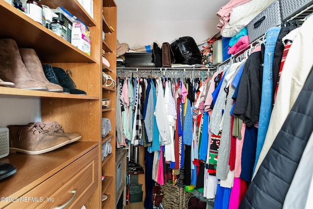 view of walk in closet