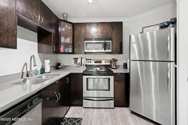kitchen with appliances with stainless steel finishes, a sink, dark brown cabinetry, light countertops, and ornamental molding