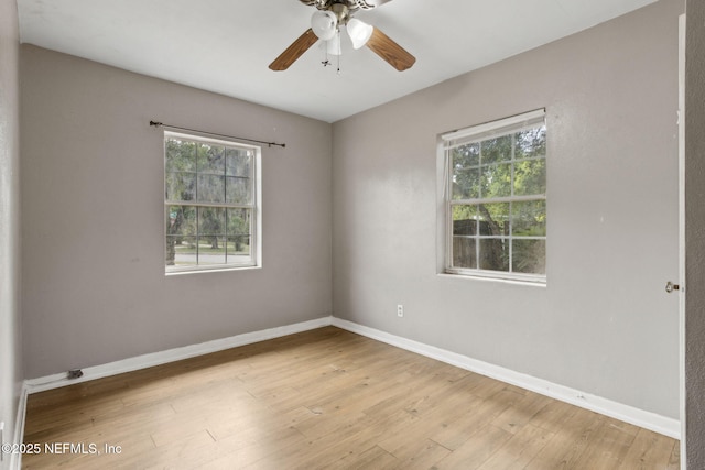 2909 Rainbow Rd, Jacksonville, FL 32217 - photo 32