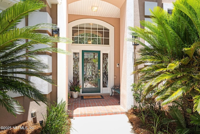 8221 Bay Tree Ln, Jacksonville, FL 32256 - photo 8