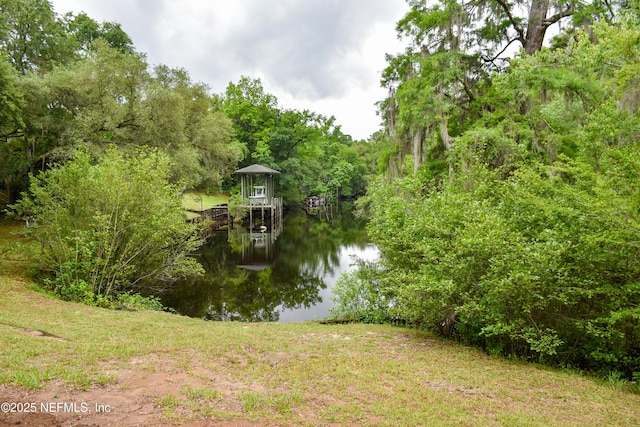 water view with a heavily wooded area
