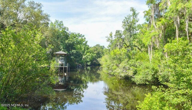 2873 Creek St, Middleburg, FL 32068 - water view featuring a heavily wooded area