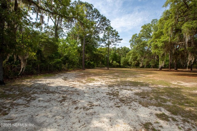 7013 Elfo Rd, Keystone Heights, FL 32656 - view of woods