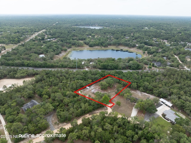7013 Elfo Rd, Keystone Heights, FL 32656 - aerial view of property's location with a forest, a large body of water, and property boundaries highlighted