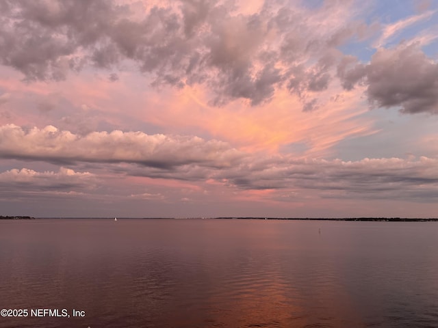 2358 Riverside Ave Unit 304, Jacksonville, FL 32204 - water view