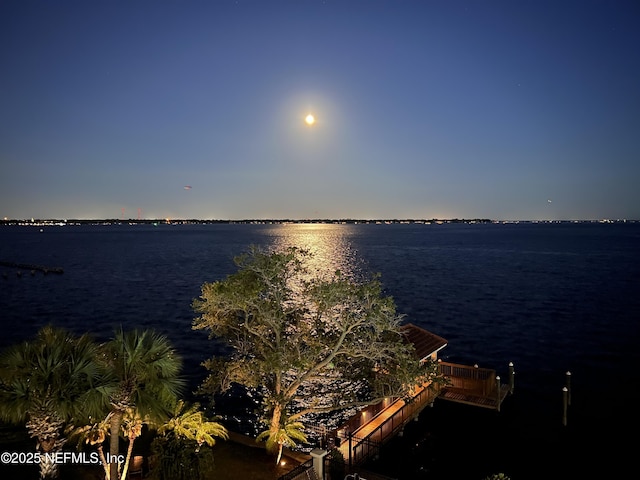 2358 Riverside Ave Unit 304, Jacksonville, FL 32204 - water view