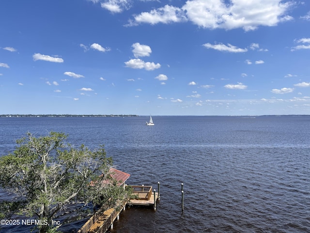 2358 Riverside Ave Unit 304, Jacksonville, FL 32204 - water view featuring a boat dock