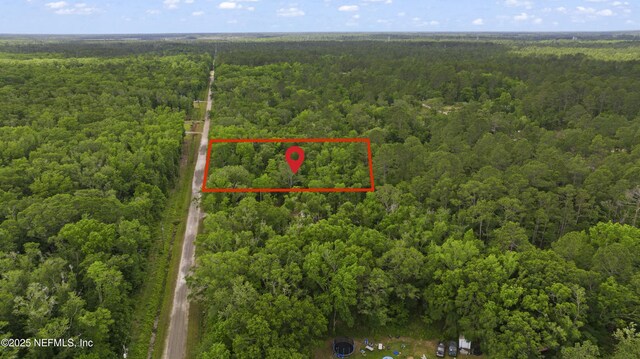 10645 Vaughan Ave, Hastings, FL 32145