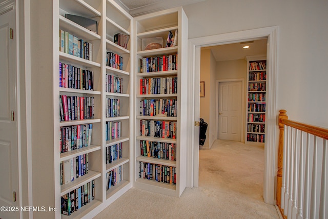 9155 June Ln, Saint Augustine Beach, FL 32080 - corridor featuring carpet floors