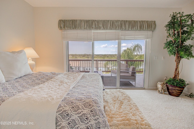 9155 June Ln, Saint Augustine Beach, FL 32080 - bedroom with access to outside and carpet flooring