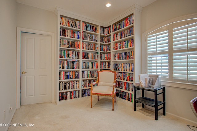 9155 June Ln, Saint Augustine Beach, FL 32080 - living area with carpet flooring, bookshelves, recessed lighting, and baseboards