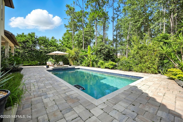 2919 Brettungar Dr, Jacksonville, FL 32224 - view of swimming pool with a patio, a pool with connected hot tub, and view of scattered trees