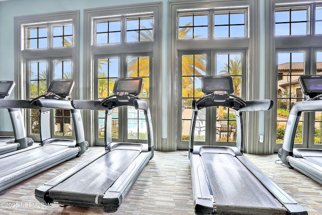 2919 Brettungar Dr, Jacksonville, FL 32224 - workout area featuring a high ceiling and healthy amount of natural light